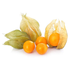 Gooseberry COLUMIBA