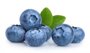 Blueberry Spain