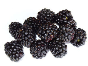 Blalkberry US