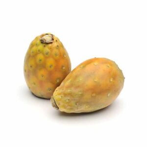 Cactus Fig  COLOMBIA