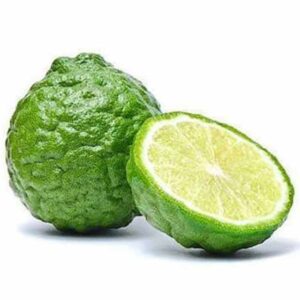 Kaffir Limes  THAILAND
