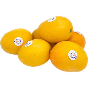 Baby Mango Columbia