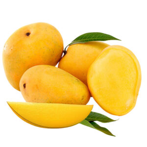 alphonsomgss