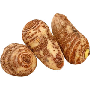 arvi-taro-root