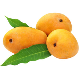 mango-badami-premium