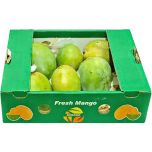 mango-tommy-box-egypt