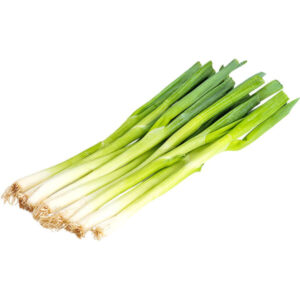 onion-spring-loose